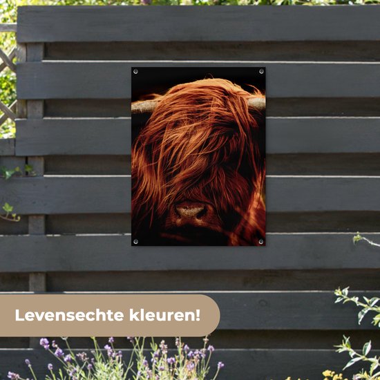 Tableau de jardin Scottish Highlander - Vache - Cornes - Portrait - Animaux - 60x80 cm - Affiche jardin - Toile jardin - Affiche extérieur