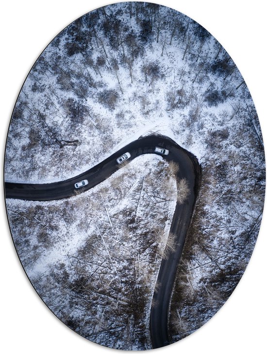 Dibond Ovaal - Sneeuw - Bomen - Bossen - Voertuigen - Auto - Weg - 72x96 cm Foto op Ovaal (Met Ophangsysteem)