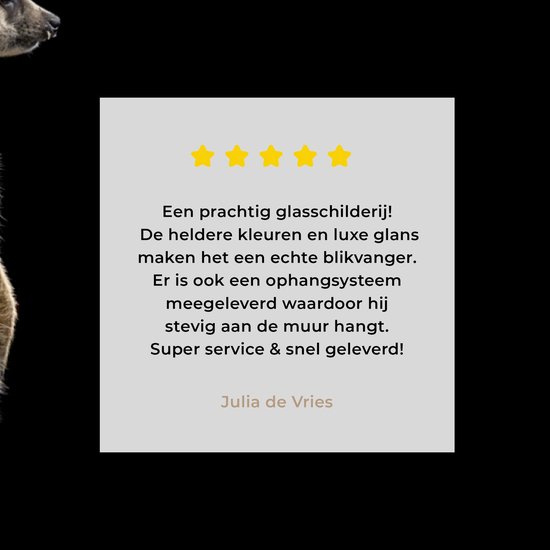 MuchoWow® Glasschilderij 30x20 cm - Schilderij acrylglas - Stokstaartje - Wilde dieren - Zwart - Foto op glas - Schilderijen