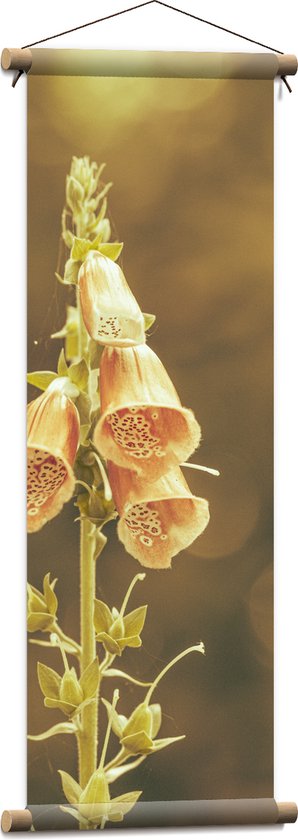 Textielposter - Dromerige Digitalis laevigata Bloemen aan Plant - 30x90 cm Foto op Textiel