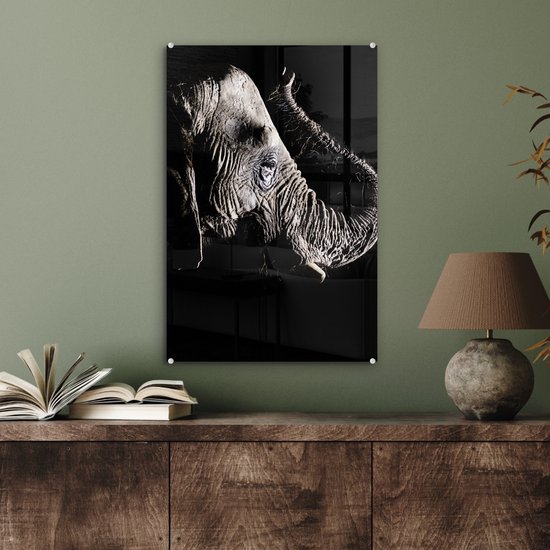 MuchoWow® Peinture sur verre 40x60 cm - Peinture sur verre acrylique - Éléphant - Zwart - Animaux - Nature - Photo sur verre - Peintures