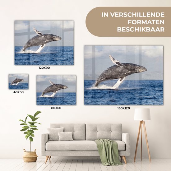® Glasschilderij 40x30 cm - Schilderij acrylglas - Een bultrug springend uit het water - Foto op glas - Muurdecoratie woonkamer - Wanddecoratie slaapkamer - Schilderijen