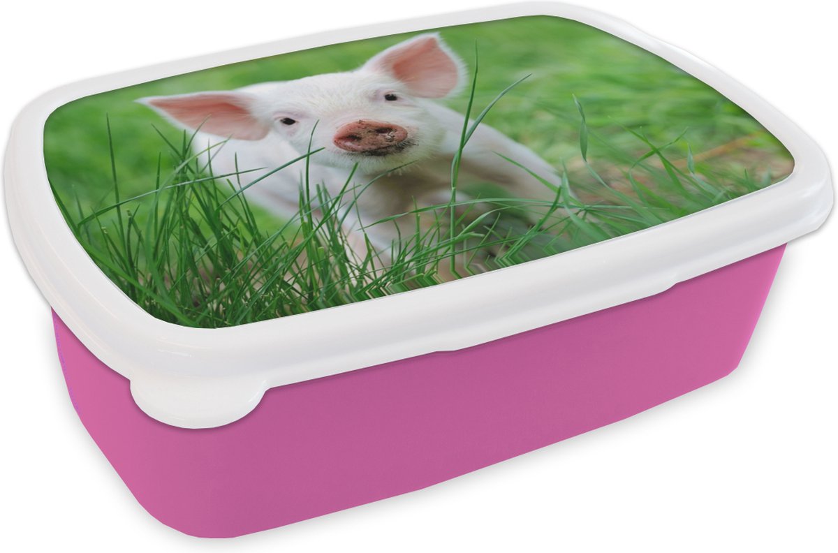 Broodtrommel Roze - Lunchbox - Brooddoos - Varken - Dieren - Big - 18x12x6 cm - Kinderen - Meisje