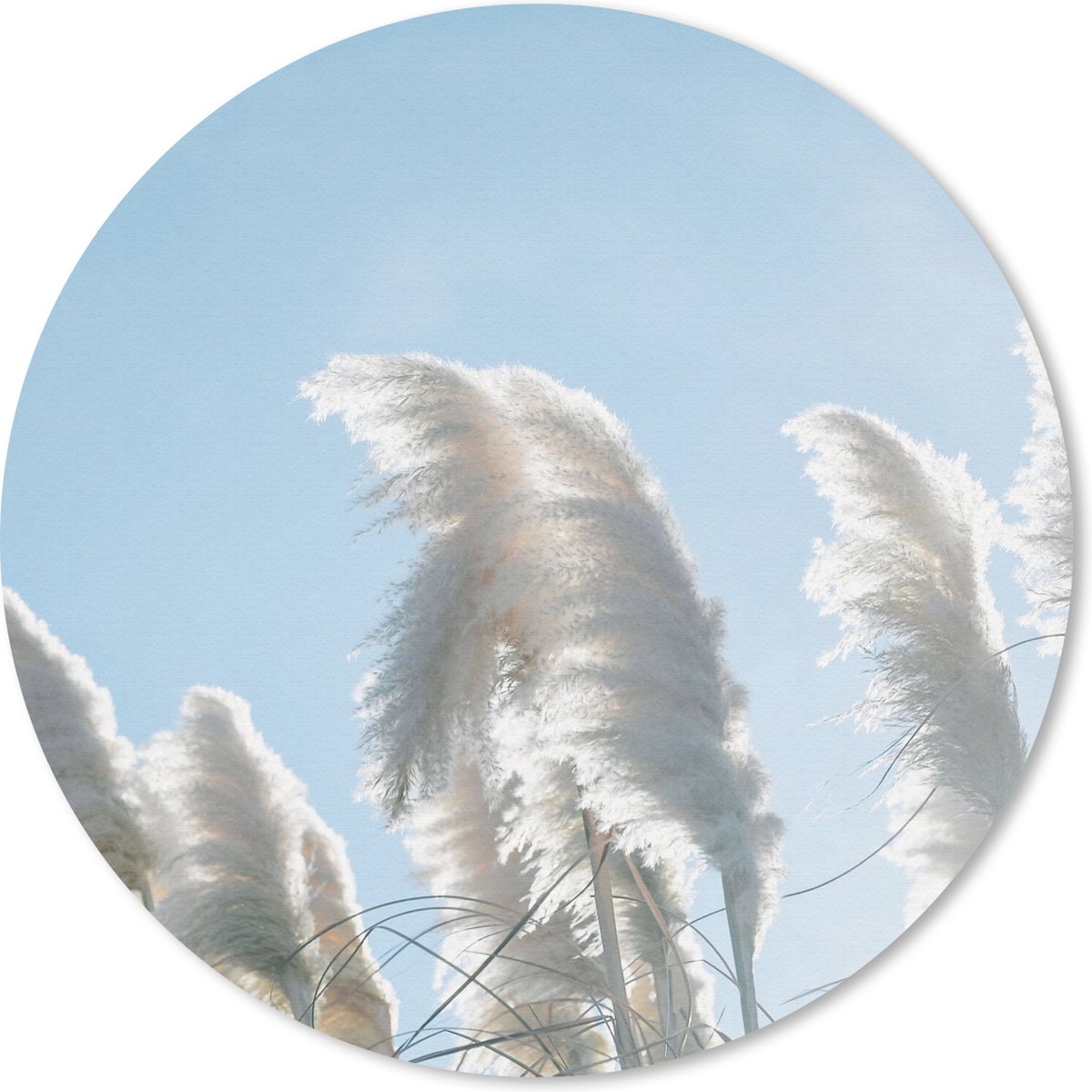 Muismat rond 30x30 cm - Mousepad Lucht - Gras - Pampasgras - Ronde muismatten