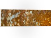 PVC Schuimplaat - Close-up van Bolvormige Gouden Ballen - 60x20 cm Foto op PVC Schuimplaat (Met Ophangsysteem)