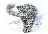 Fotobehang Sneeuwluipaard - Vliesbehang - 208 x 146 cm