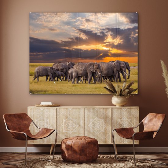 MuchoWow® Peinture sur verre 160x120 cm - Peinture sur verre acrylique - Éléphant - Animaux - Herbe - Coucher de soleil - Nature - Photo sur verre - Peintures