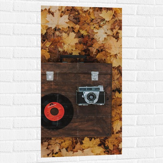 Muursticker - Muziekplaat en Vintage Camera op Koffer tussen de Herfstbladeren - 50x100 cm Foto op Muursticker