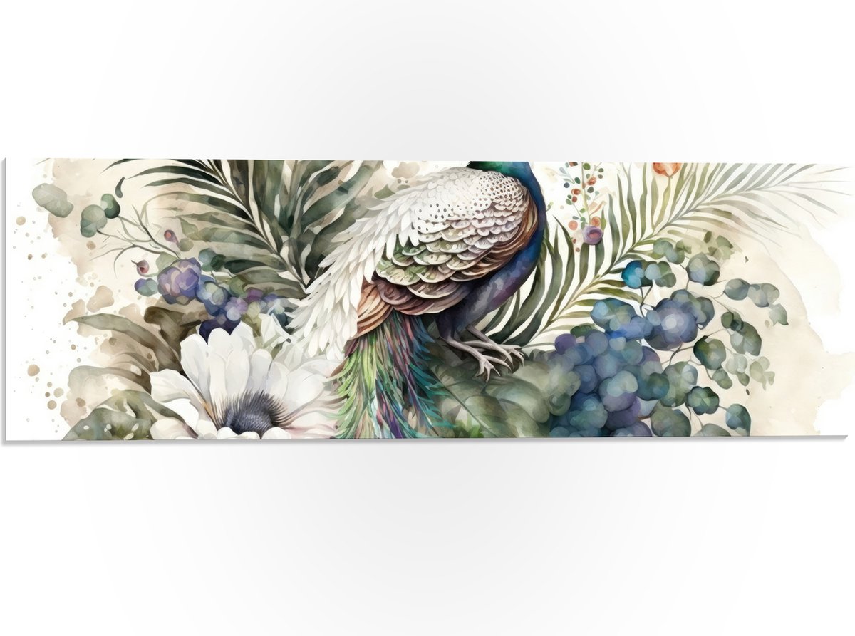 PVC Schuimplaat - Pauw Geschilderd met Waterverf - 60x20 cm Foto op PVC Schuimplaat (Met Ophangsysteem)