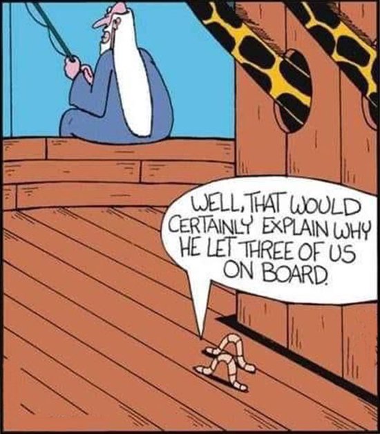 Worms Hoodie - poisson - pêcheur - ver - Arche de Noé - drôle - pull - pull - capuche