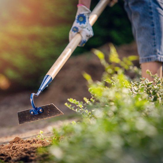 KADAX Tuinhak van metaal, hak met steel van hout, onkruidhaak voor het losmaken, luchten en wieden van de grond, tuinaccessoires voor het verwijderen van onkruid (W: 16cm, trapeziumvorm) van Merkloos	 — afbeelding 4