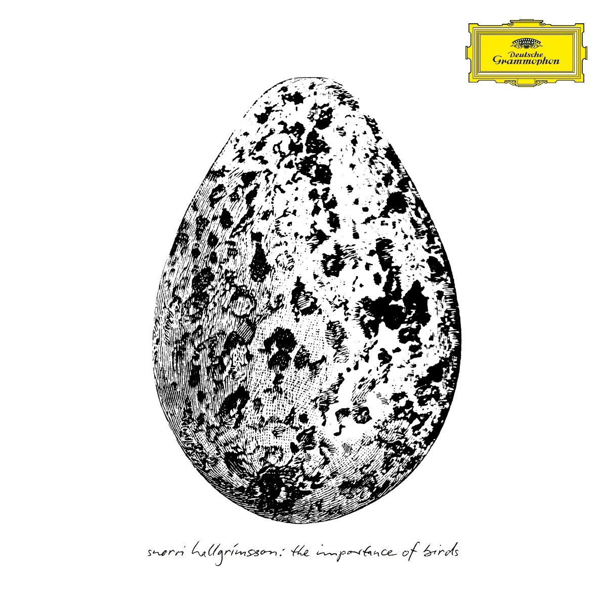 Snorri Hallgrímsson - The Importance Of Birds (LP)