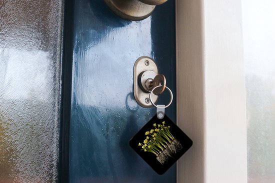Porte-clés Plantes sur fond noir - Plusieurs jonquilles avec ampoules sur fond noir Porte-clés en plastique - Porte-clés carré avec photo