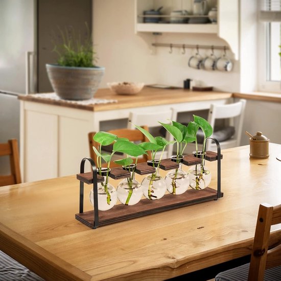 YWNYT 2 stks Planten Voortplanting Station, Glas Plant Terrarium Plant Voortplanting Planter Water Station Planten Glazen Vaas Voor Groeiende Hydrocultuur Home Office Tafel Decor