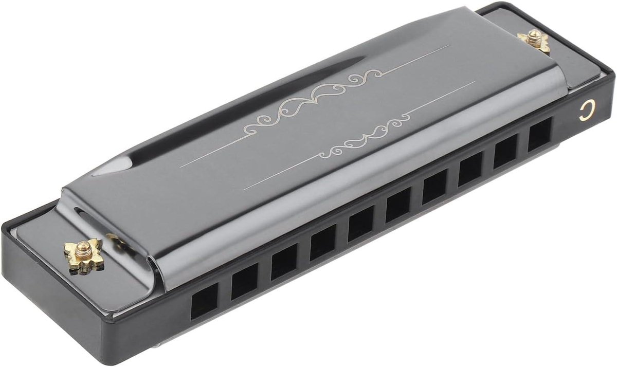 East Top Diatonische Blues Mondharmonica toonsoort C 10 gaten 20 tonen