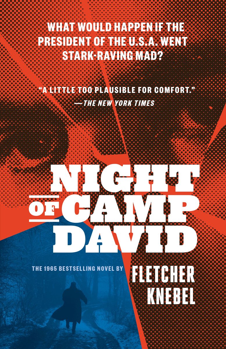 Omslag van Night of Camp David