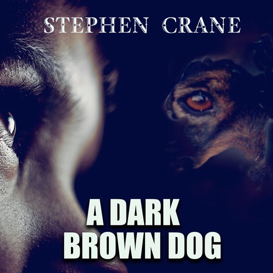 A Dark Brown Dog - cover