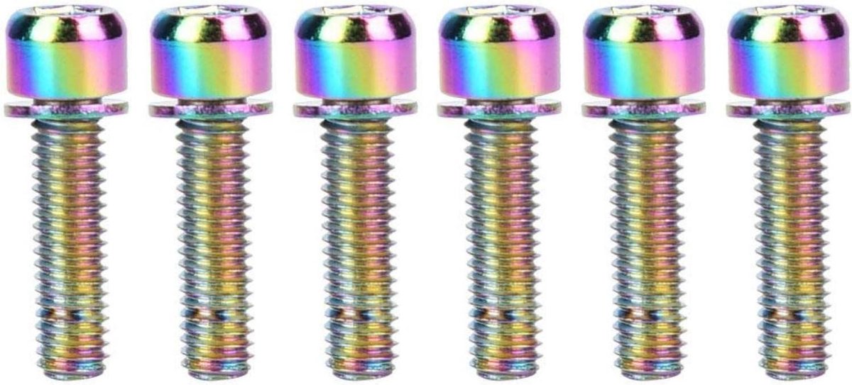 Allecto Plus - Titanium Flesdrager Schroef 6 Stuks M5x25mm - Fiets Accessoires