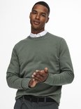 Man kijkt naar de zijkant met handen tegen elkaar. Draagt een groene sweater met wit overhemd eronder en grijze broek.