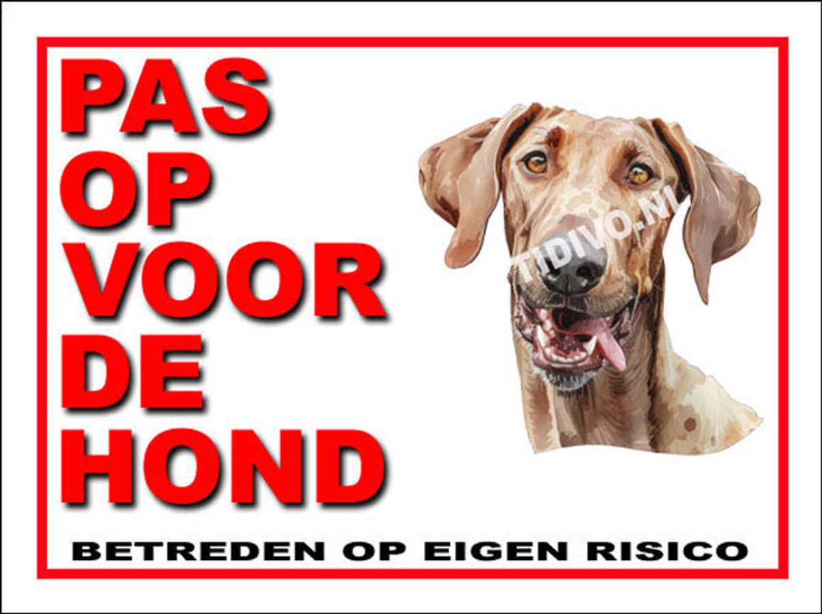 Mudhol Hond 13
