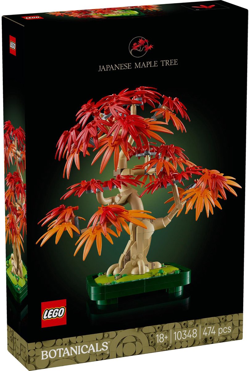 Japanse esdoorn bonsaiboompje