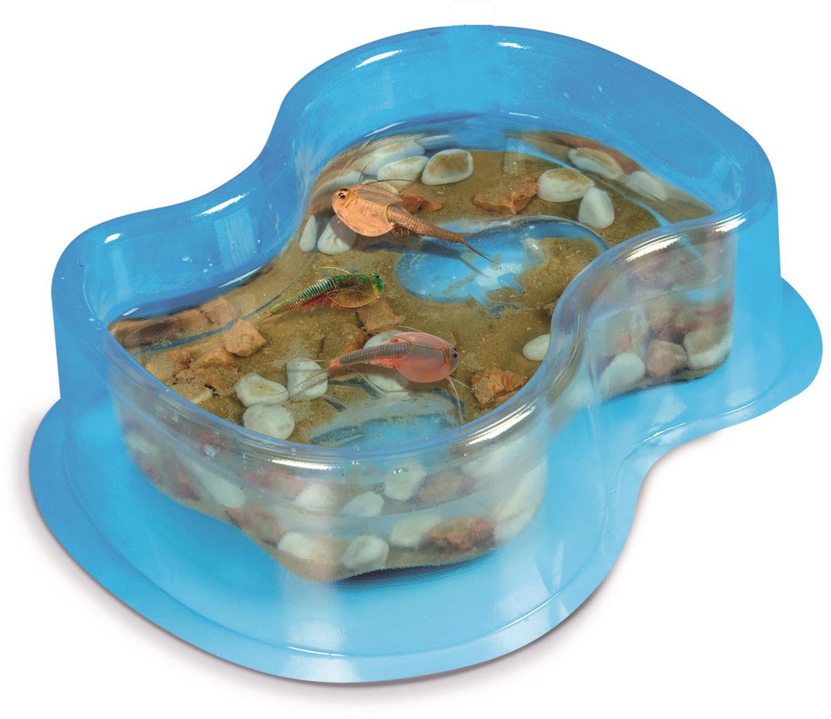 Clementoni Wetenschap & Spel - Kweek je eigen Triops - Experimenteerdoos - Educatief Speelgoed 8+ Jaar — cadeau in Spellen & Speelgoed - foto 4