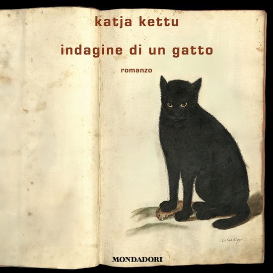 Indagine di un gatto - cover