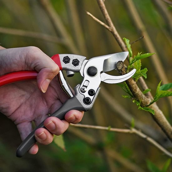 Gereedschap voor tuinschaar: Gevogelteschaar veer, universele bufferveer, reserveveer, springveer- Reparatie kit voor boomscharen en takkenscharen: Veer voor tuinschaar, bufferveer, reserveveer, springveer van Millster — afbeelding 4