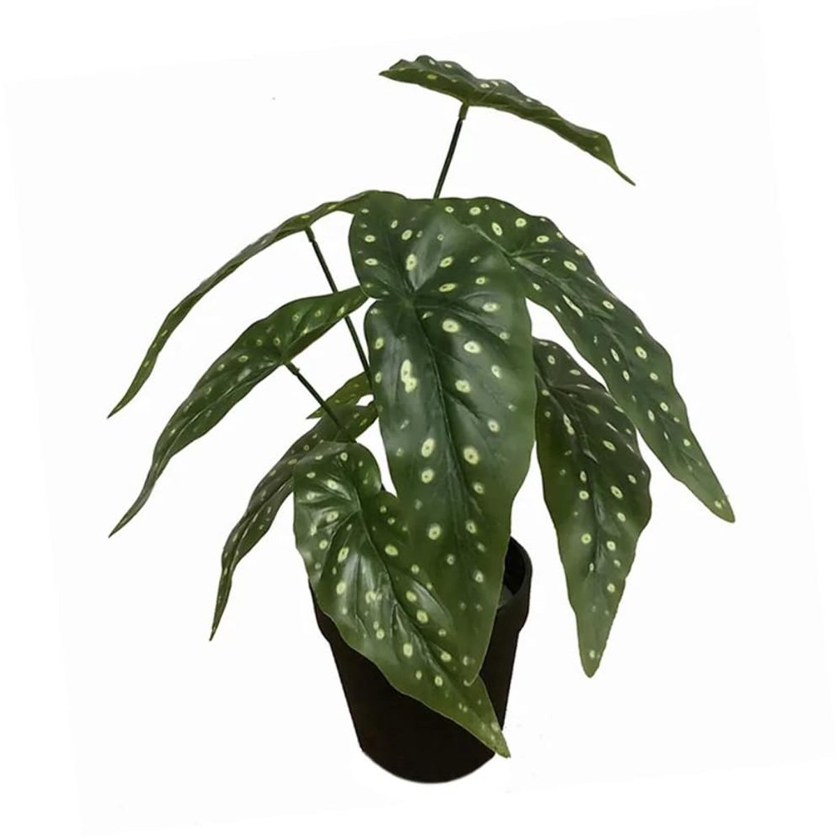Leaf Design UK Realistische kunstplant met pot, Begonia Maculata, zwart, 35 cm