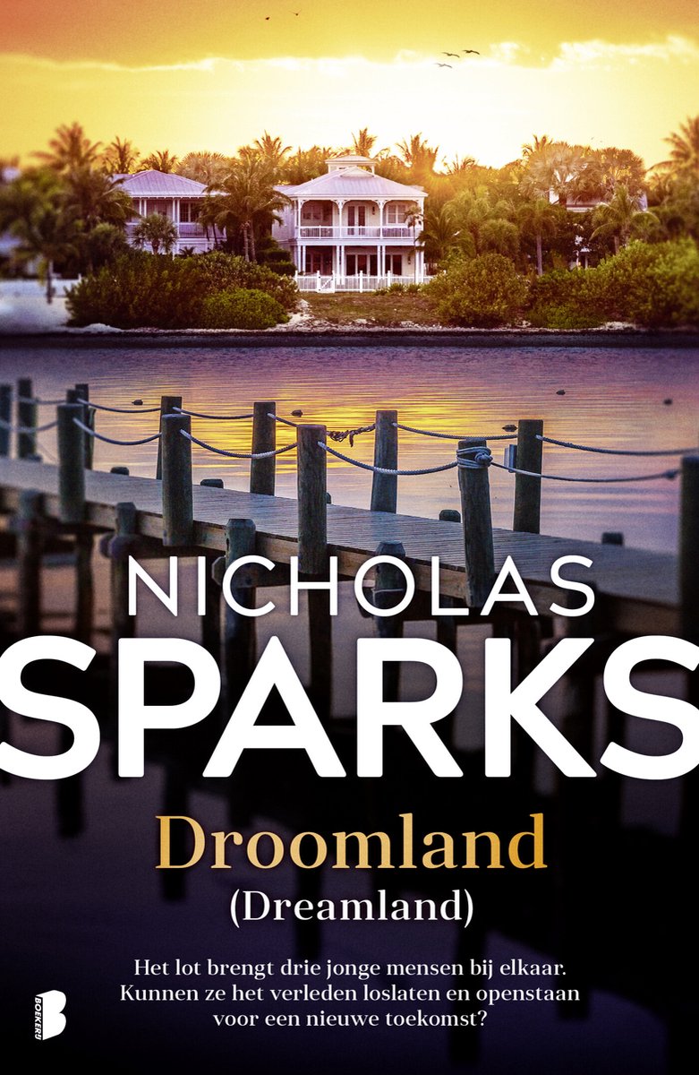 Omslag van Droomland