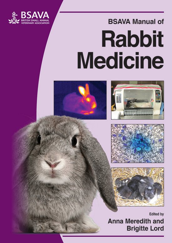 Bsava Manual Of Rabbit Medicine - cover