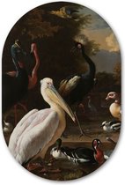 Muurovaal Het Drijvend Veertje - WallCatcher | Acrylglas 60x90 cm | Ovalen schilderij | Wandovaal Meesterwerk van Melchior d’ Hondecoeter
