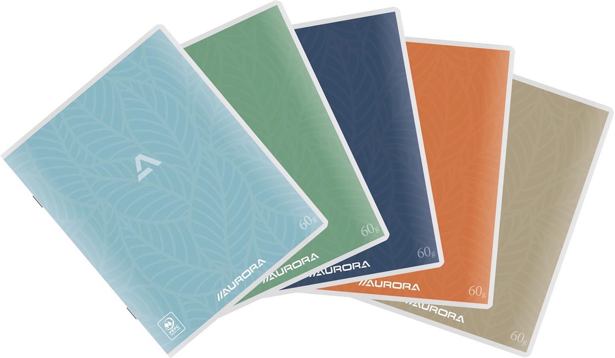 Aurora Writing 60 kladschrift 200 bladzijden, geruit 5 mm 10 stuks