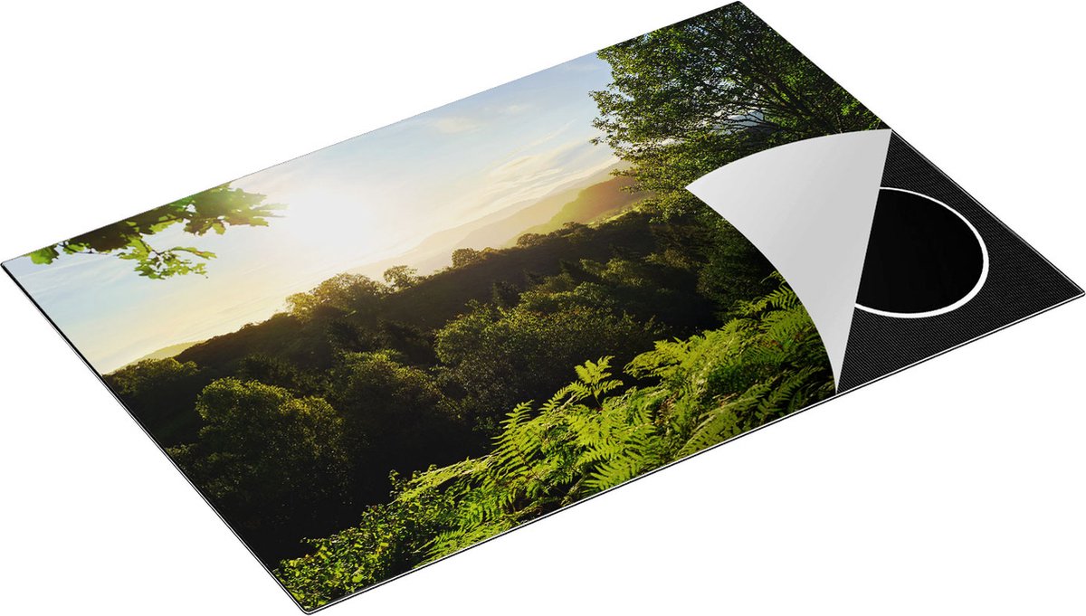 Chefcare Inductie Beschermer Zonsondergang vanuit een Bos - 83x51,5 cm - Afdekplaat Inductie - Kookplaat Beschermer - Inductie Mat