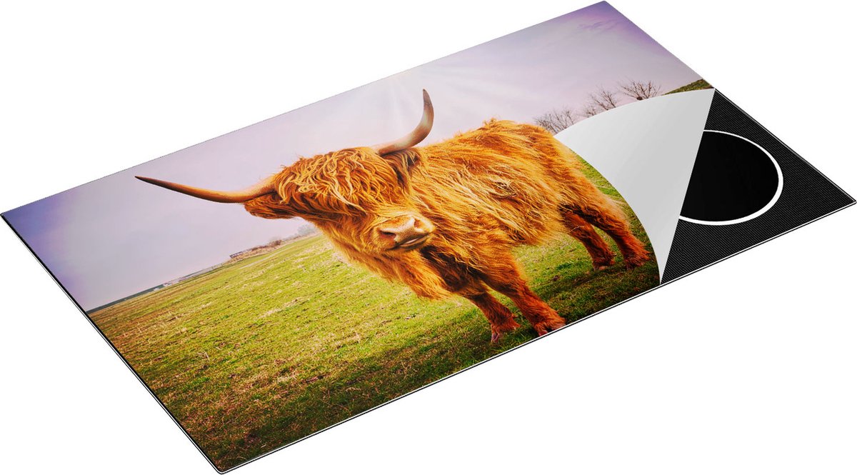 Chefcare Inductie Beschermer Bruine Schotse Hooglander Koe - Kleur - 90x50 cm - Afdekplaat Inductie - Kookplaat Beschermer - Inductie Mat