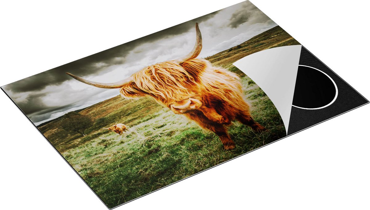 Chefcare Inductie Beschermer Schotse Hooglanders in de Wei - Kleur - 75x52 cm - Afdekplaat Inductie - Kookplaat Beschermer - Inductie Mat
