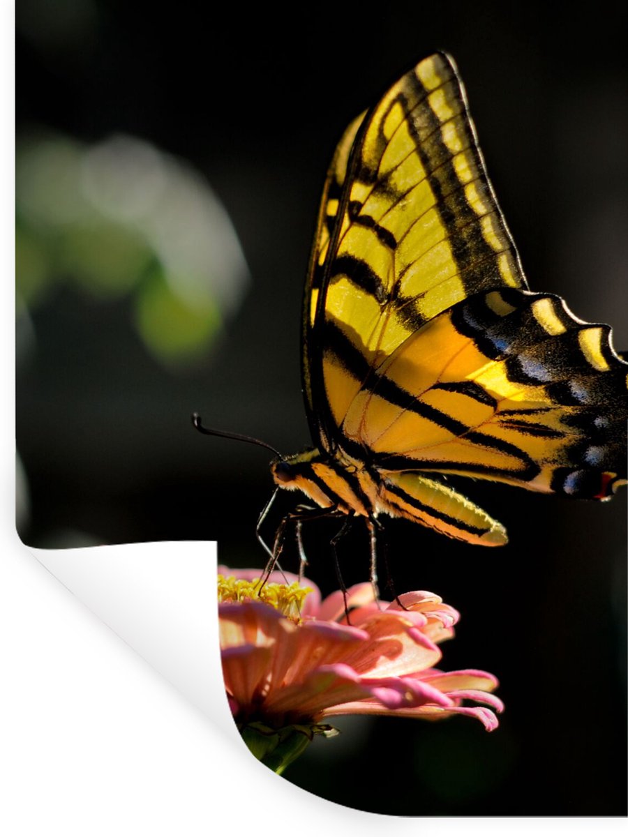 Muurstickers - Sticker Folie - Vlinder - Botanisch - Bloem - 30x40 cm - Plakfolie - Muurst