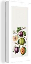 Canvas Schilderij Fruit - Eten - Takken - 20x40 cm - Wanddecoratie