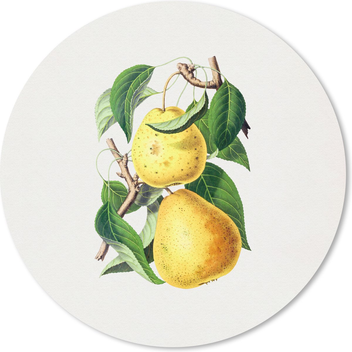 Muismat rond 50x50 cm - Mousepad Peren - Bladeren - Eten - Ronde muismatten