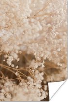 Affiche Herbe de la pampa - Plante - Nature - 20x30 cm