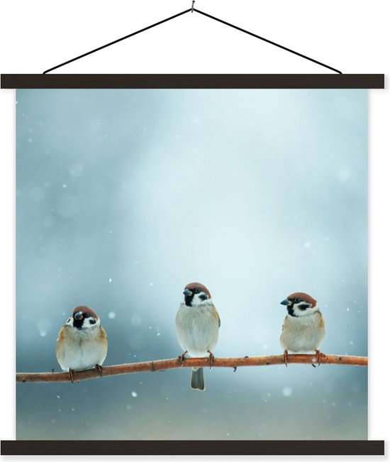 Porte-affiche avec affiche - Affiche scolaire - Vogels - Moineau - Neige - Hiver - 60x60 cm - Lattes noires