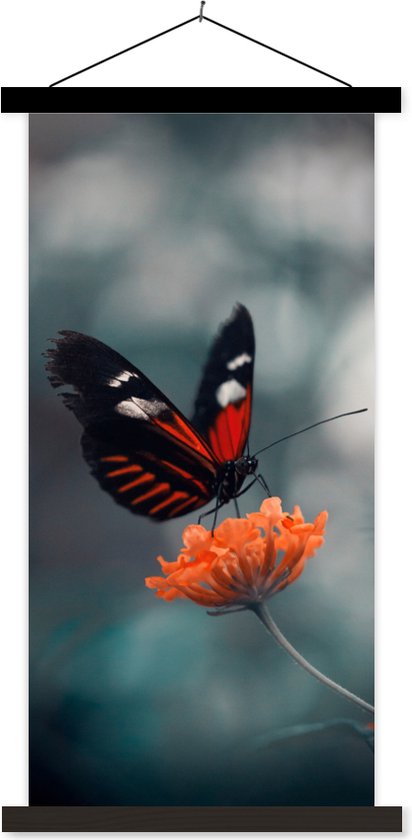 Porte-affiche avec affiche - Affiche scolaire - Papillon - Fleurs - Insecte - 40x80 cm - Lattes noires