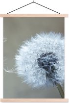 Porte-affiche avec affiche - Affiche scolaire - Pissenlit - Bloem - Plante - 120x160 cm - Lattes vierges