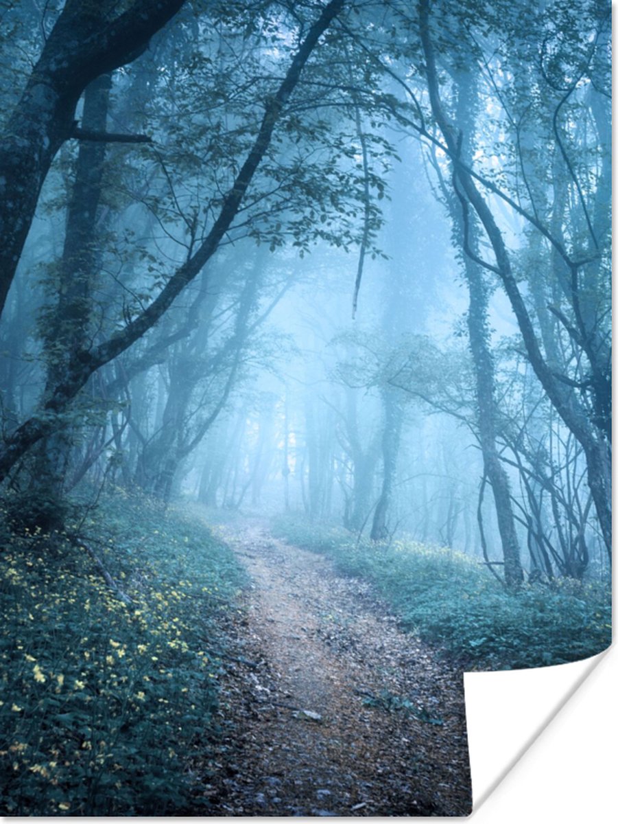Poster Bomen - Natuur - Mist - 30x40 cm