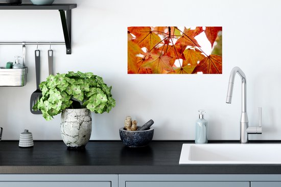 Affiche Branches d'Automne - Feuilles - Saisons - Rural - 40x20 cm