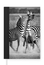 Notitieboek - Schrijfboek - Vechtende zebra's - Notitieboekje klein - A5 formaat - Schrijfblok