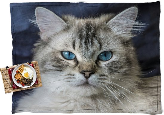 Waterdicht Picknickkleed – Geschikt als Strandlaken / Strandmat – Close-up een Ragdoll kat – 200×150 cm – Vloerkleed buiten – Buitenkleed -…
