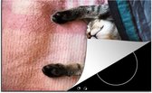 KitchenYeah® Inductie beschermer 81.6x52.7 cm - Slapende kat op een kleed - Kookplaataccessoires - Afdekplaat voor kookplaat - Inductiebeschermer - Inductiemat - Inductieplaat mat