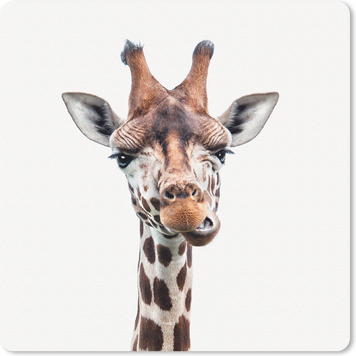 Muismat 30x30 cm - Mousepad Jongens - Giraffe - Dieren - Kop - Portret - Kind - Meisjes - Muismatten