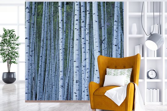 Papier peint photo peint photo vinyle - Witte' arbres blancs largeur 300 cm x hauteur 300 cm - Tirage photo sur papier peint (disponible en 7 tailles)